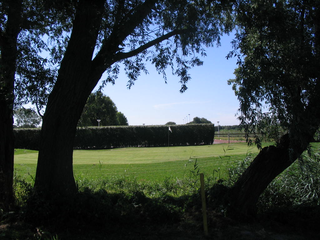 IMG 0055